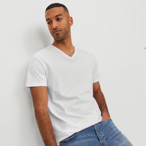 Standard Fit V-Neck T-Shirt