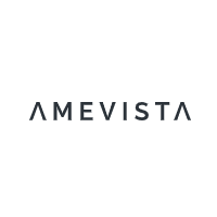 Amevista IT