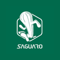Saguaro ES