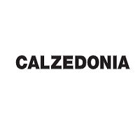 Calzedonia CZ