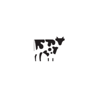 Copper Cow Coffee