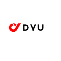 DYU EBIKE