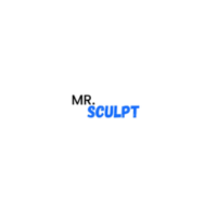 Mr Sculpt