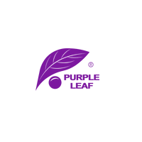 Purple Leaf