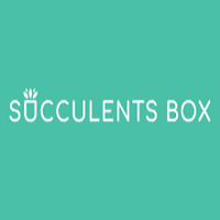 Succulents Box