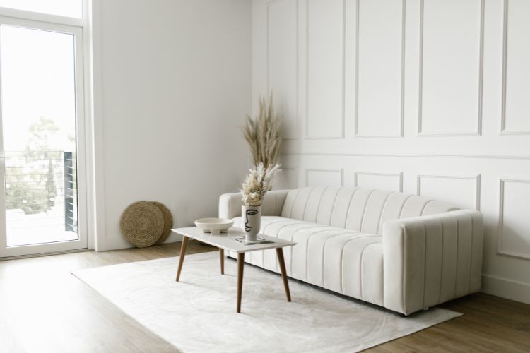 Acanva New Arrival Sofas 