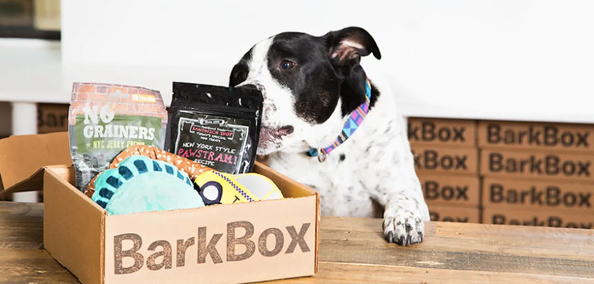 barkshop-storesblogs-image