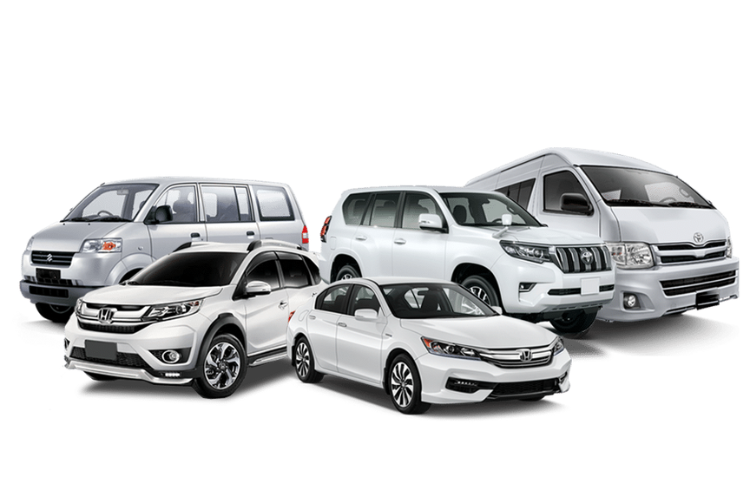 rental cars