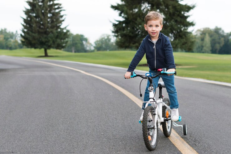 Guardian Bikes 