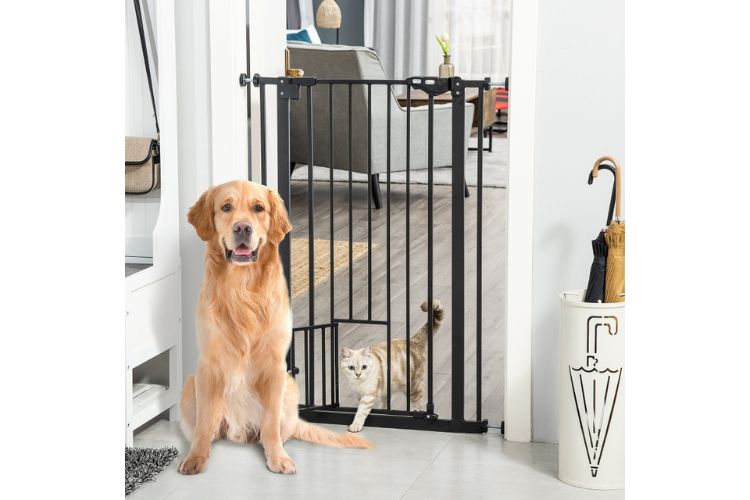pet supplies